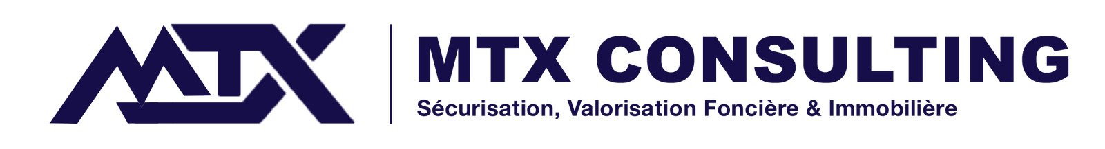 MTX Consulting